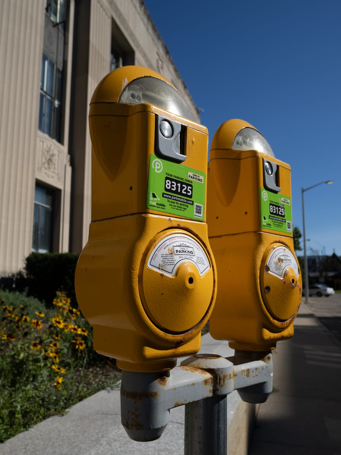 Yellow parking meters in front of yellow flowers and a semi-ornate cement building.
