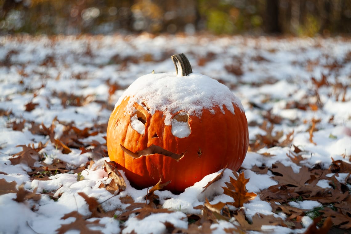 Can't Rot if it's Frozen