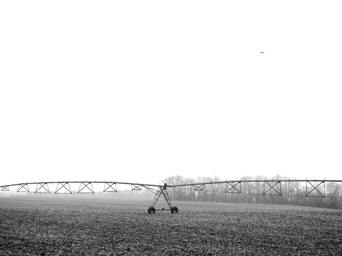 Lower third of the photo: An empty farm field with an irrigation sprinkler in the foreground, foggy trees in the background. A bird is flying in the upper right third of the frame.