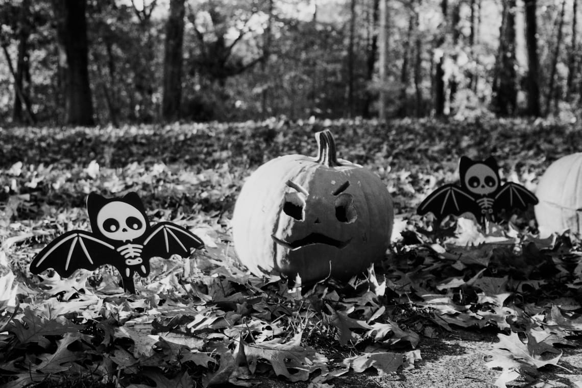 A black and white photo of a carved pumpkin with a strong glow from the sun, surrounded by bat decor.