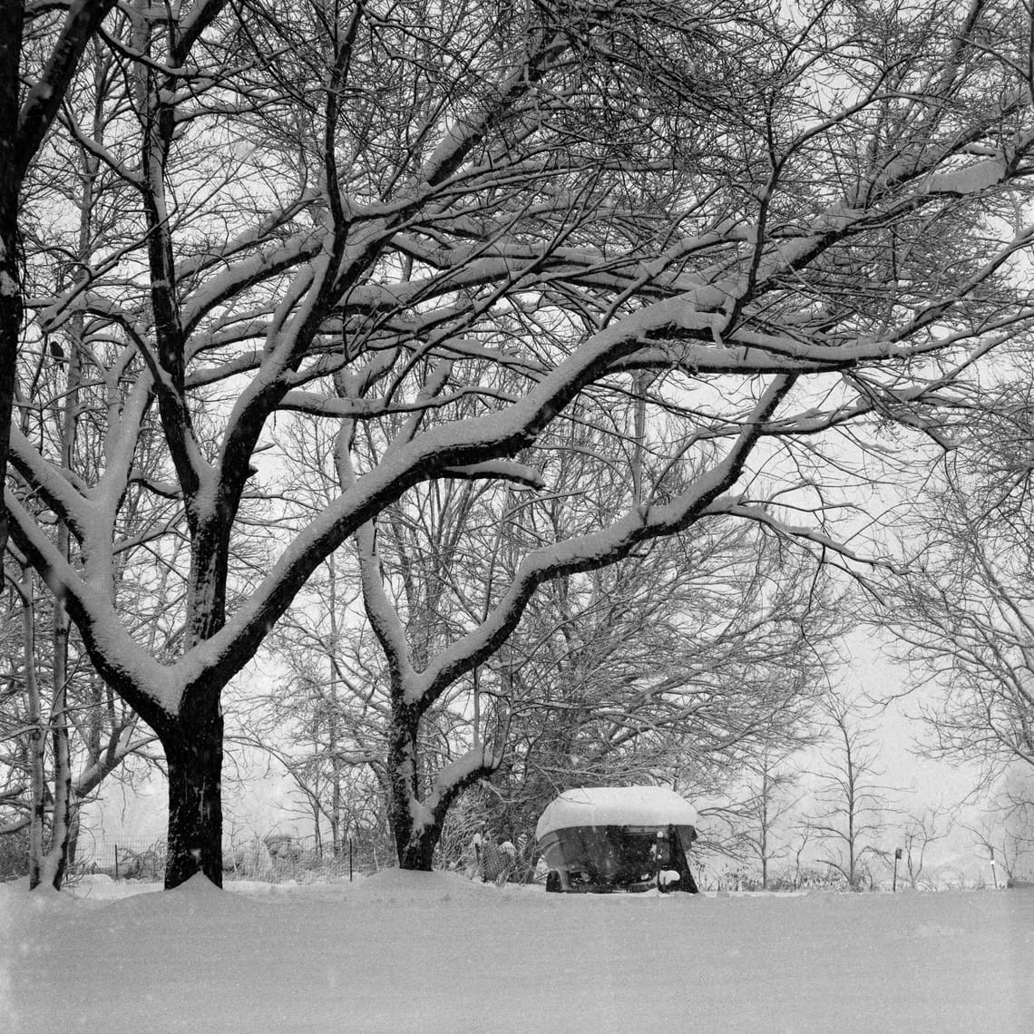 A small boat covered in snow sits underneath snow-laden trees amidst active snow fall.