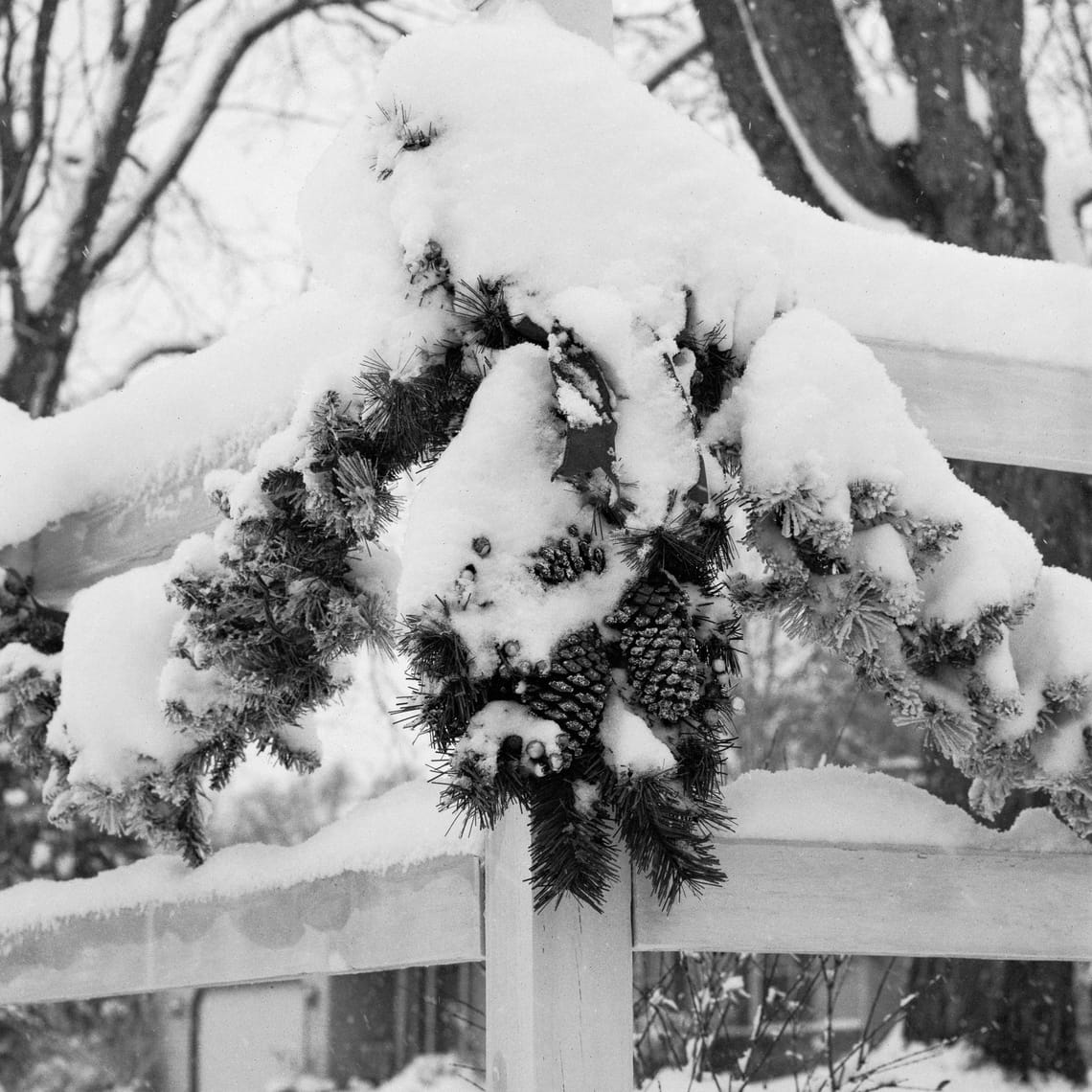 A decorative wreath made of pine branches and pinecones, covered in heavy snow, hanging on a white wooden fence. Bare trees visible in the background. Black-and-white photograph.