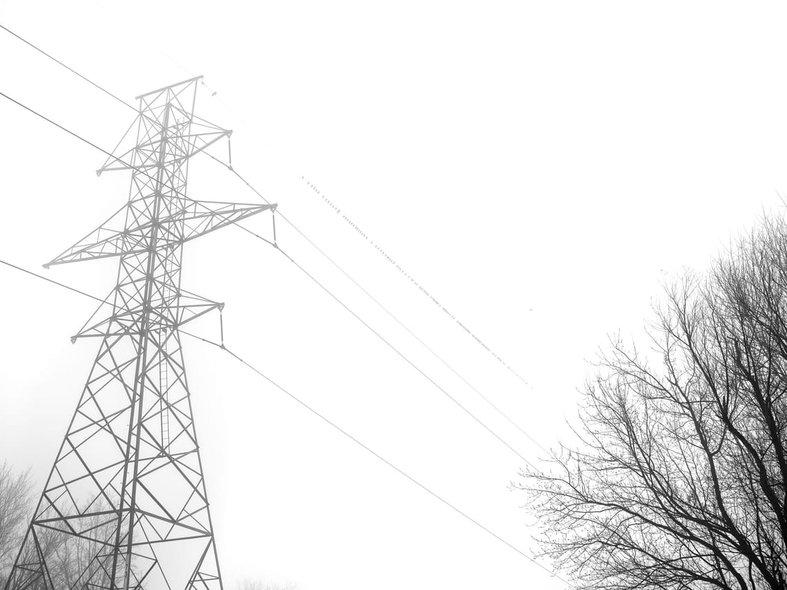 Birds resting in the fog on top of power lines. A portion of a tree is visible in the bottom right of the frame.
