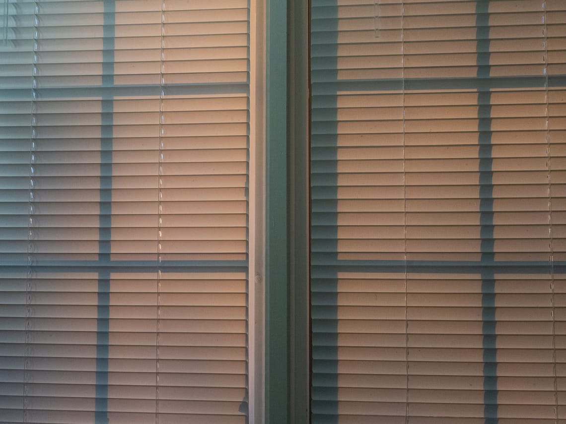365 Project #80