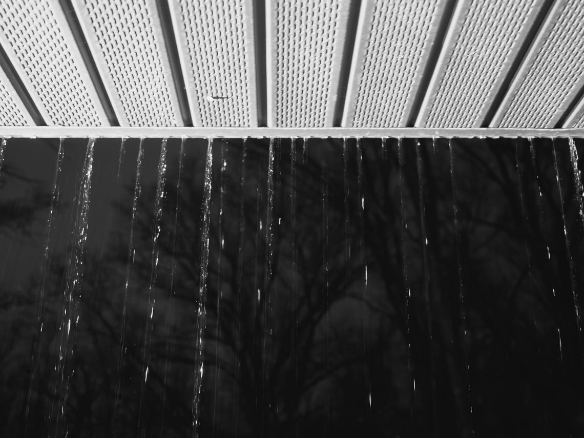 365 Project #82