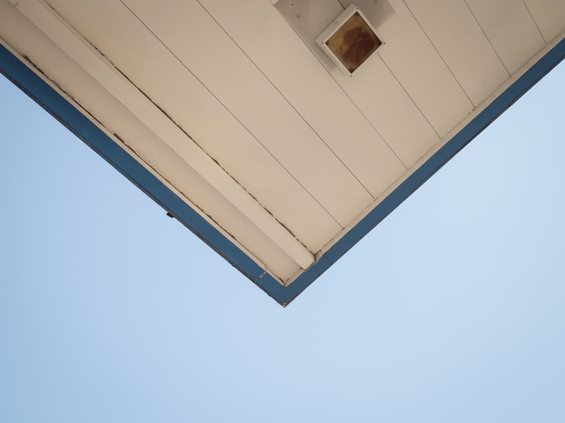 365 Project #155
