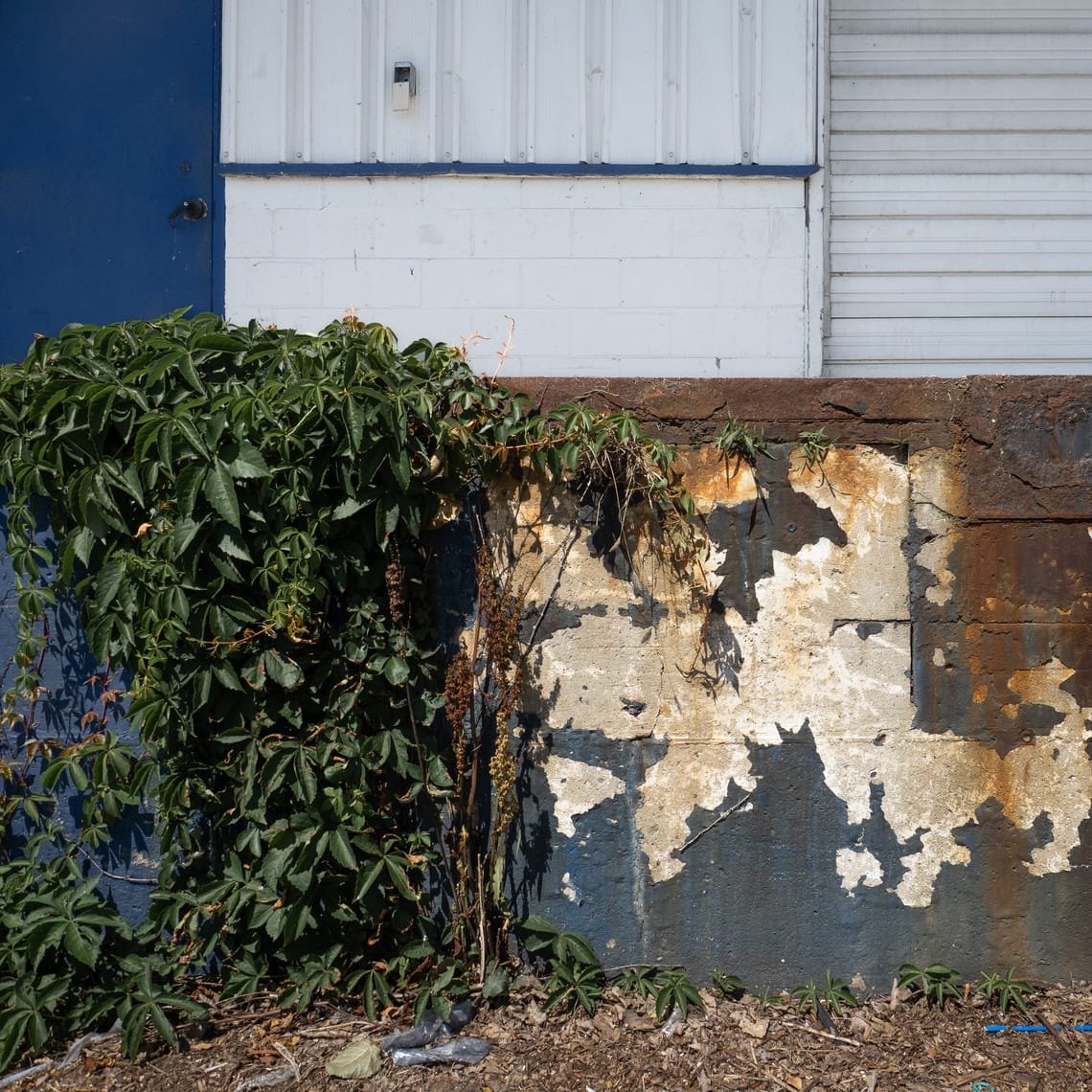 365 Project #171