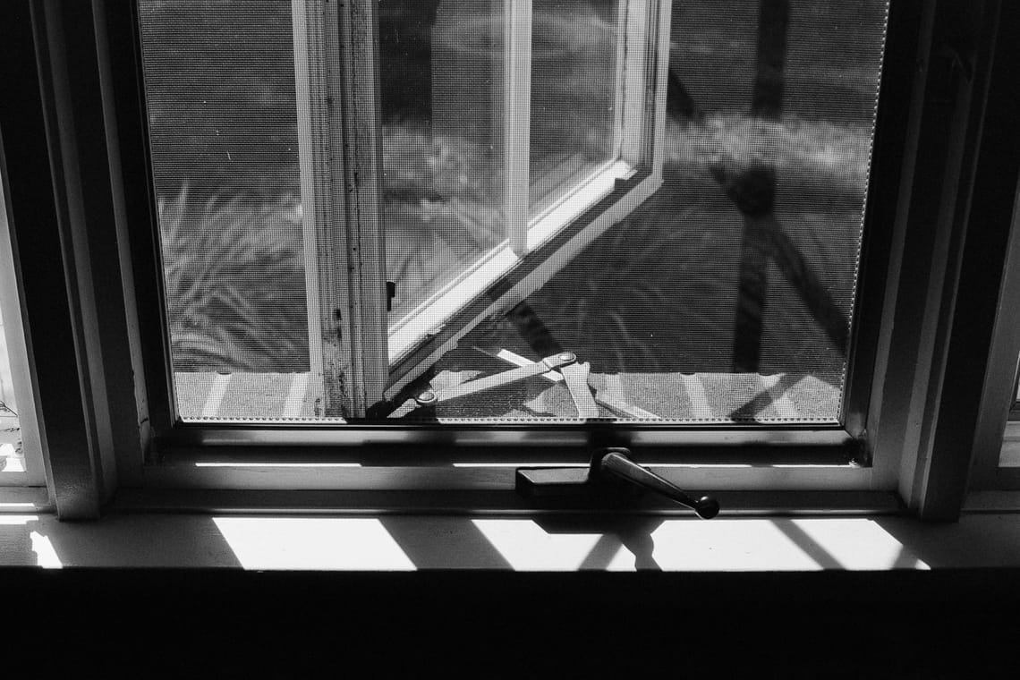 365 Project #161