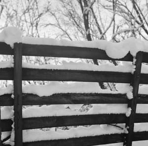 Deteriorating Fence in Winter