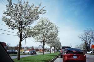 Another spring snap from my car