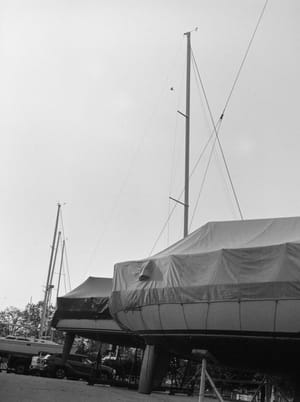Morning Flight at the Marina