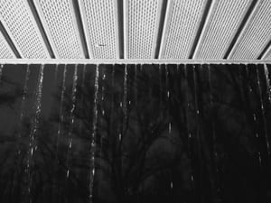 365 Project #82