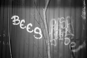365 Project #85