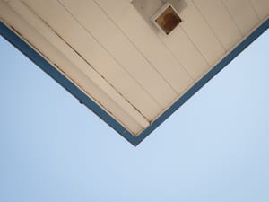 365 Project #155