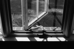 365 Project #161