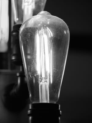 365 Project #261
